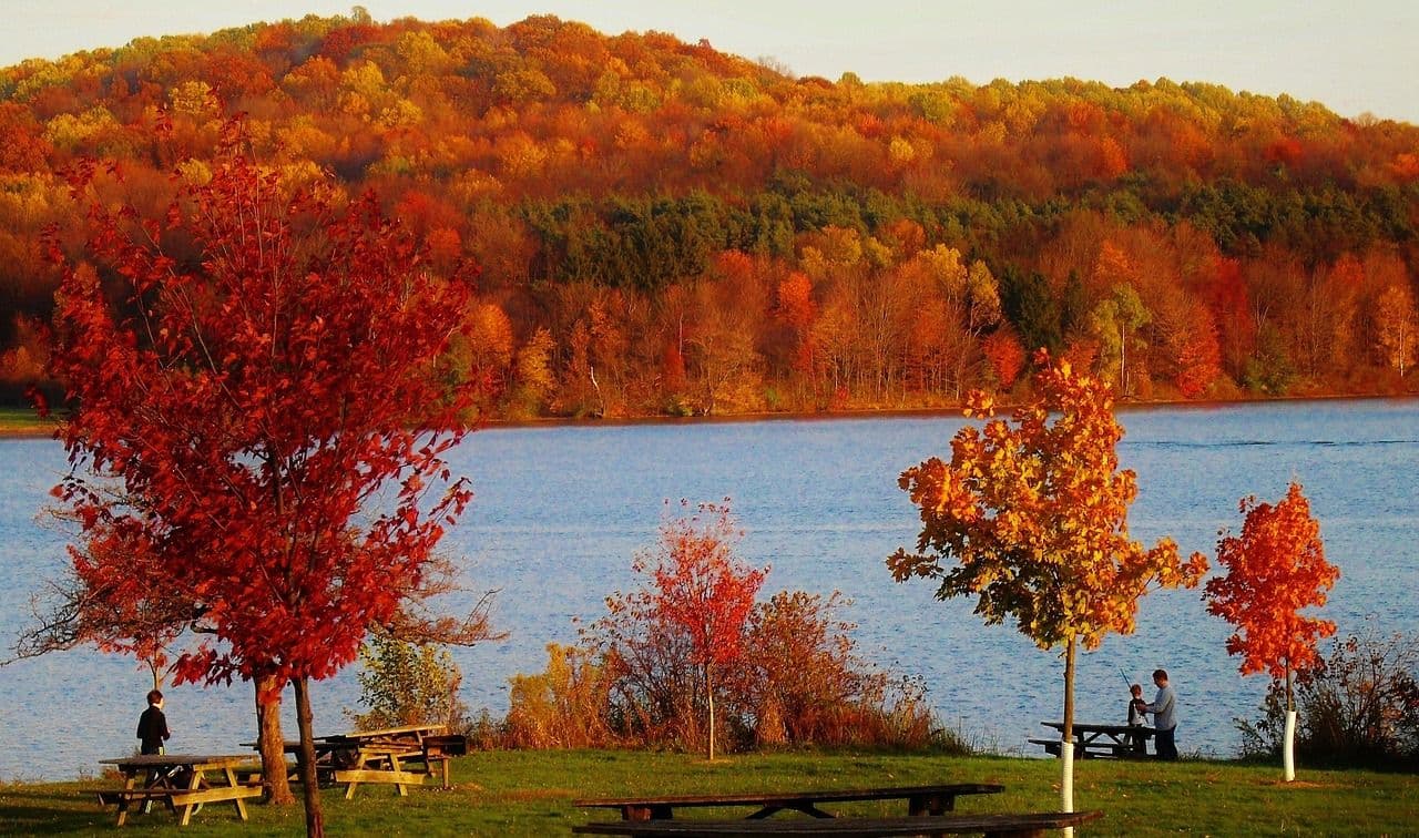 The Top 5 Solar Incentives for Businesses in Buffalo & Pennsylvania